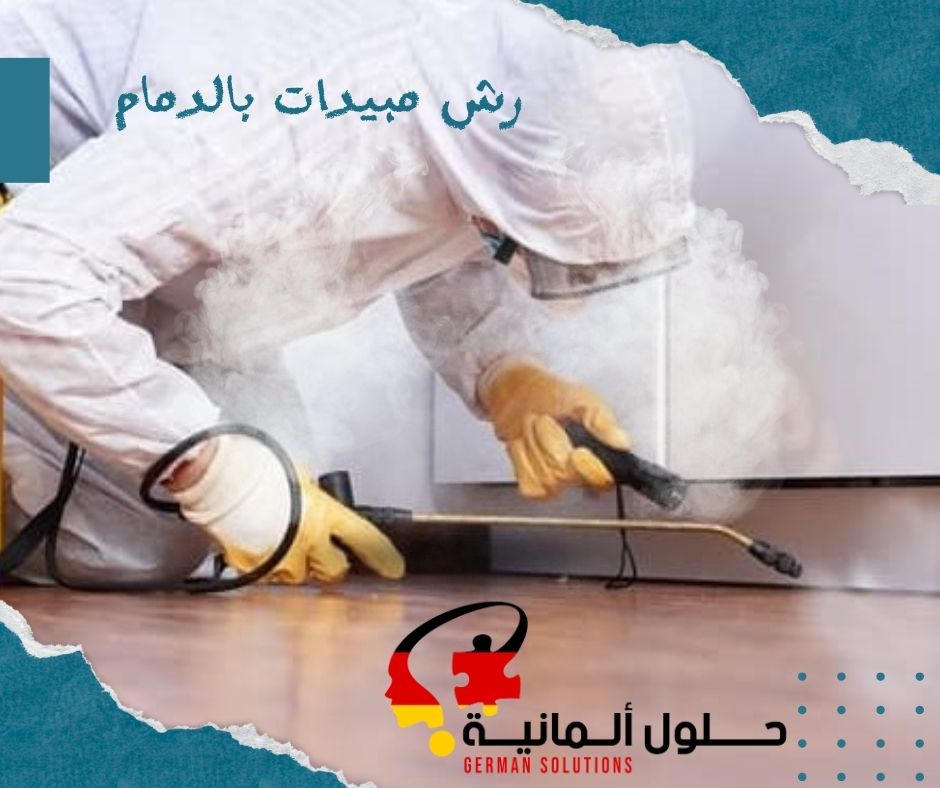 شركة مبيدات حشرية بالدمام